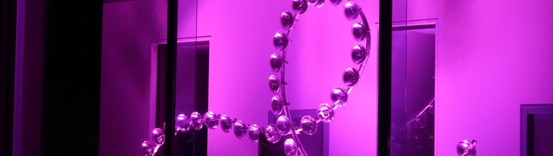 rose2-633fdb52a8119721426771